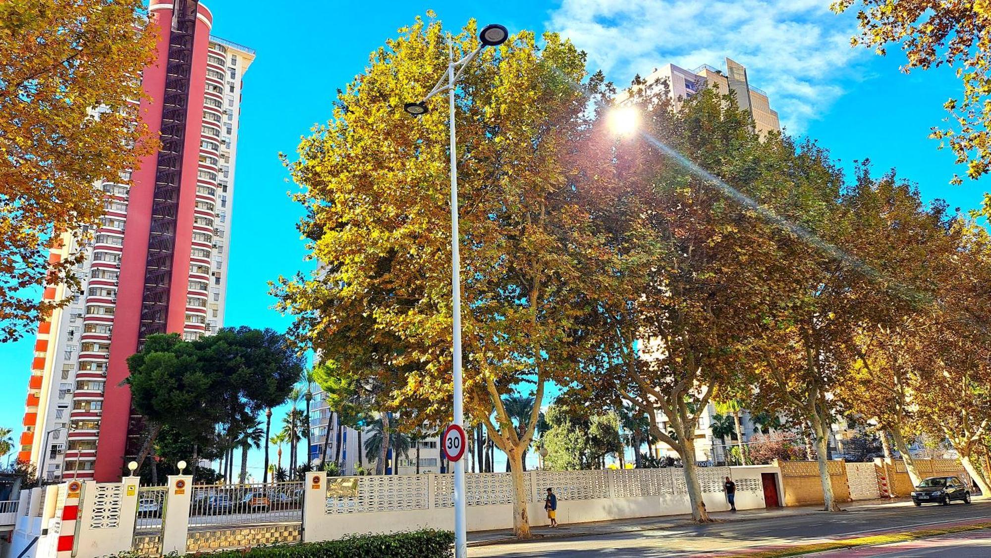 Las Damas - 23 B, Primera Linea, Playa Levante Benidorm Exterior photo